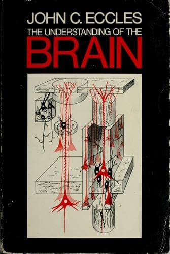Cover image for The understanding of the brain