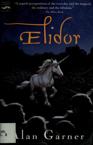 Cover image for Elidor