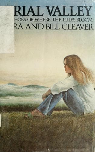 Cover image for Trial Valley