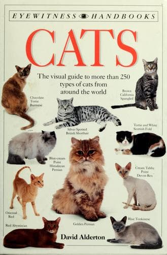 Cover image for Cats