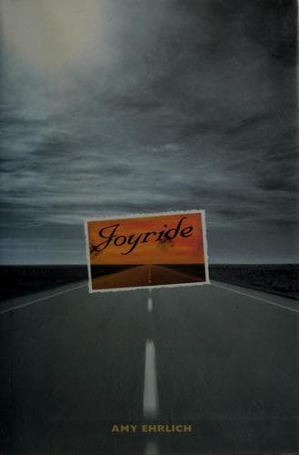 Cover image for Joyride