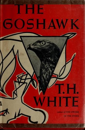 Cover image for The goshawk