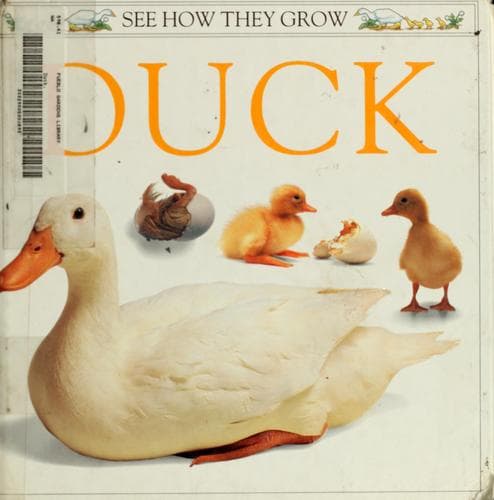 Cover image for Duck