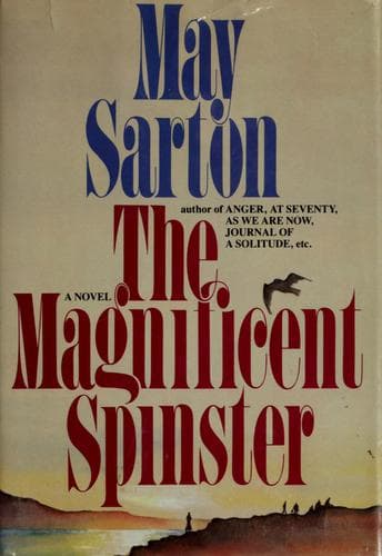 Cover image for The magnificent spinster