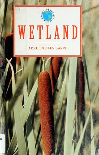 Cover image for Wetland