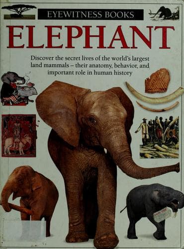 Cover image for Elephant