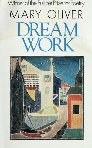 Cover image for Dream work