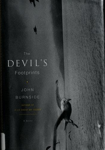 Cover image for The devil's footprints