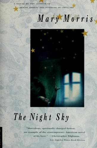 Cover image for The night sky