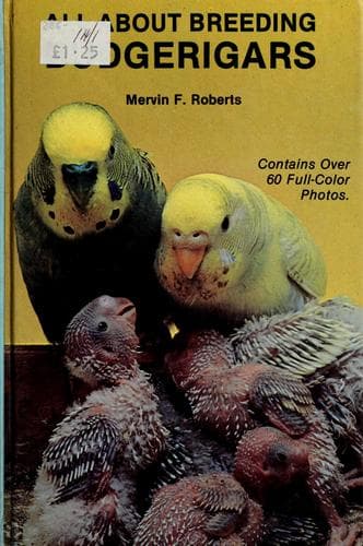 Cover image for All about breeding budgerigars