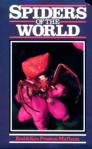 Cover image for Spiders of the world