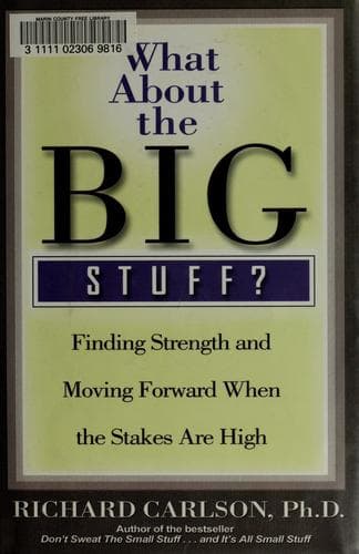 Cover image for What About the Big Stuff?