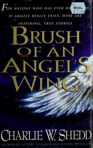 Cover image for Brush of an angel's wing