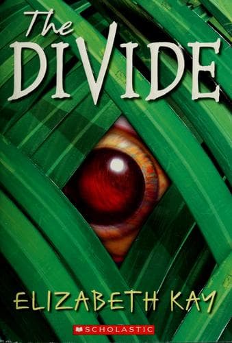 Cover image for Divide (The Divide)