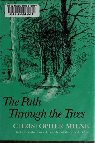 Cover image for The  path through the trees