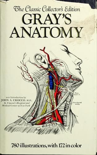 Cover image for Gray's anatomy