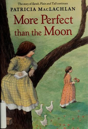 Cover image for More perfect than the moon