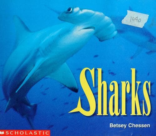 Cover image for Sharks
