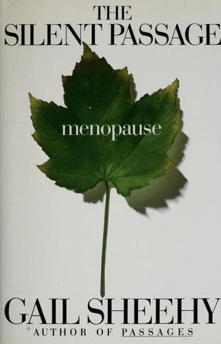 Cover image for The silent passage