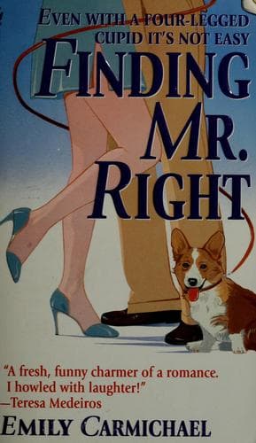 Cover image for Finding Mr. Right