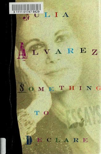 Cover image for Something to declare
