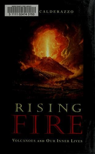 Cover image for Rising fire
