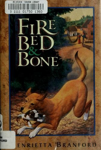 Cover image for Fire, bed, & bone
