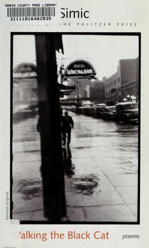 Cover image for Walking the black cat