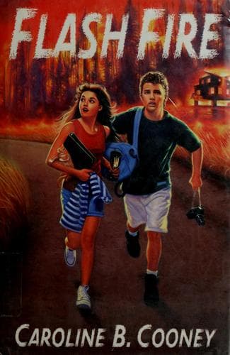 Cover image for Flash fire