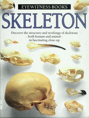 Cover image for Skeleton