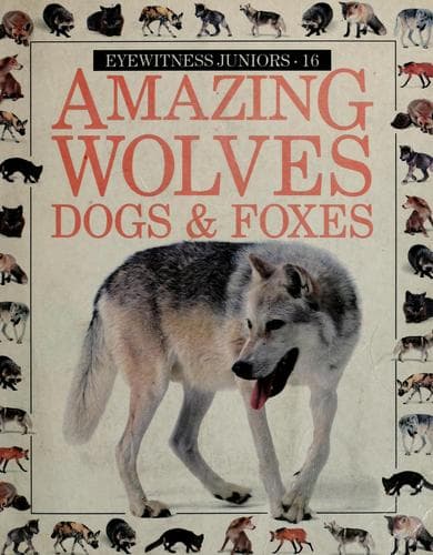 Cover image for Amazing wolves, dogs & foxes