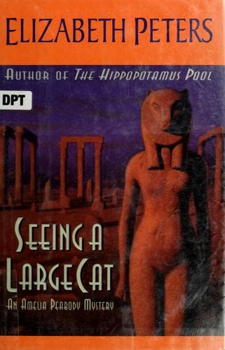Cover image for Seeing a large cat
