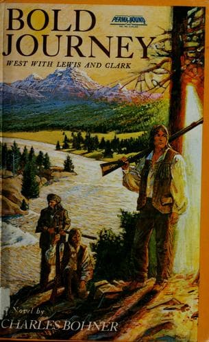 Cover image for Bold journey