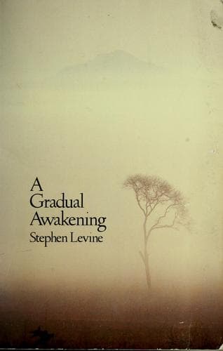 Cover image for A gradual awakening