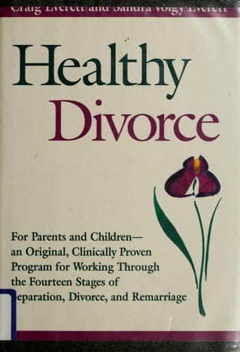 Cover image for Healthy divorce
