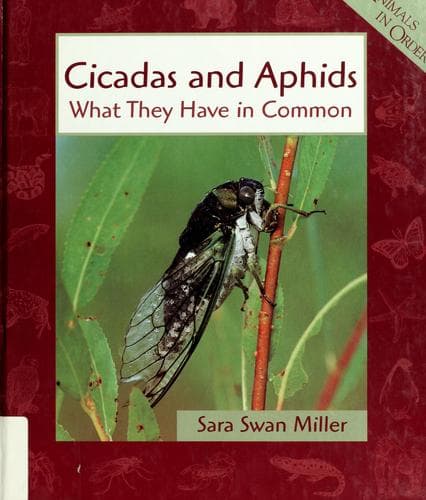 Cover image for Cicadas and aphids