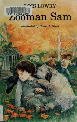 Cover image for Zooman Sam