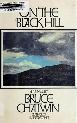 Cover image for On the black hill