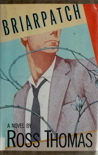 Cover image for Briarpatch
