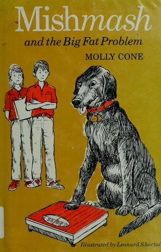 Cover image for Mishmash and the big fat problem