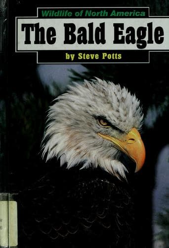 Cover image for The bald eagle