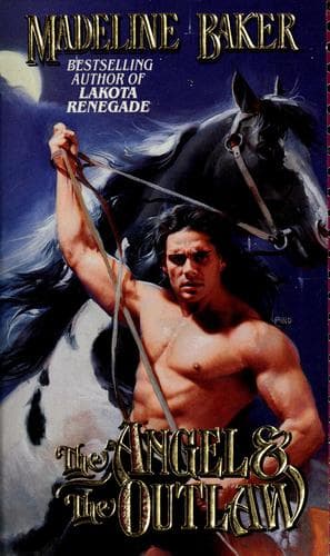 Cover image for The angel & the outlaw