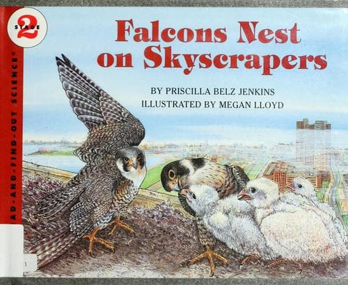 Cover image for Falcons nest on skyscrapers