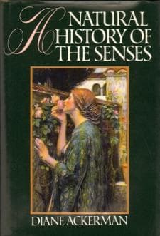 Cover image for A natural history of the senses