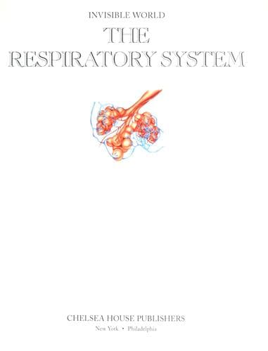 Cover image for The repiratory system