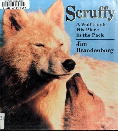 Cover image for Scruffy