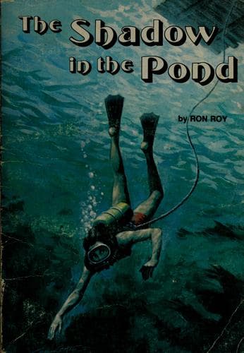 Cover image for The shadow in the pond