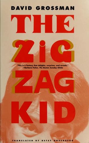 Cover image for The zigzag kid