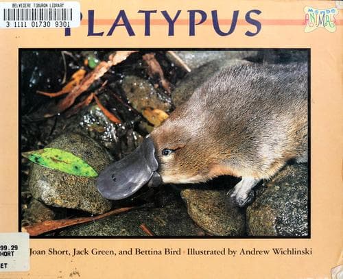 Cover image for Platypus