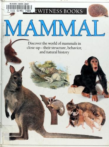 Cover image for EyeWitness Books: Mammal